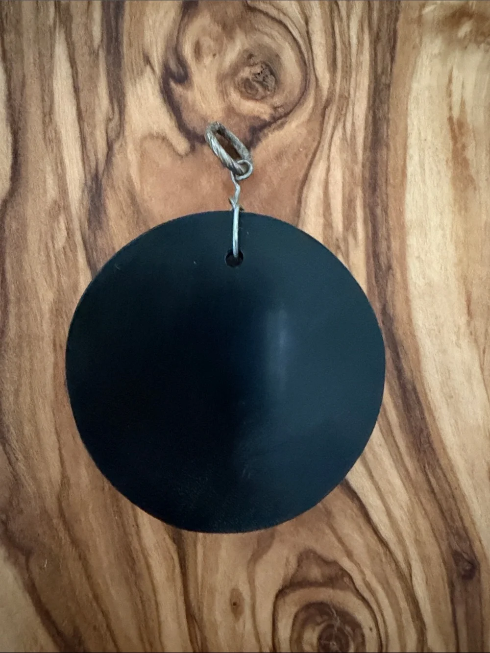 Round Abalone Shell Pendant Necklace in Iridescent Teal and Green